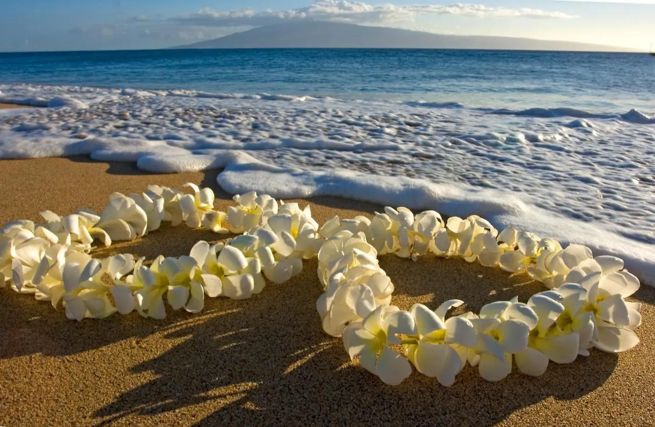 Waikiki Banyan Cozy Condo Suite - Ocean View With Free Parking! Honolulu 0*,  United States
